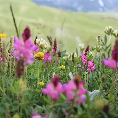Miravidi A Cervinia فندق بيريوِل تْشيرفينيا