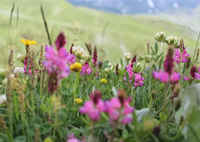 Miravidi A Cervinia Hotel Breuil-Cervinia